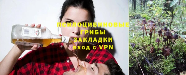 стафф Володарск