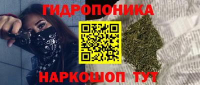 бошки Дубна