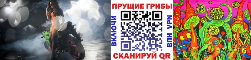 мега онион  где продают   Муром  Псилоцибиновые грибы Cubensis 